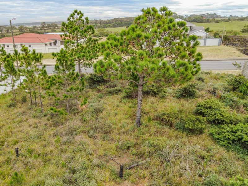 VACANT LAND IN GONUBIE - Photo 6