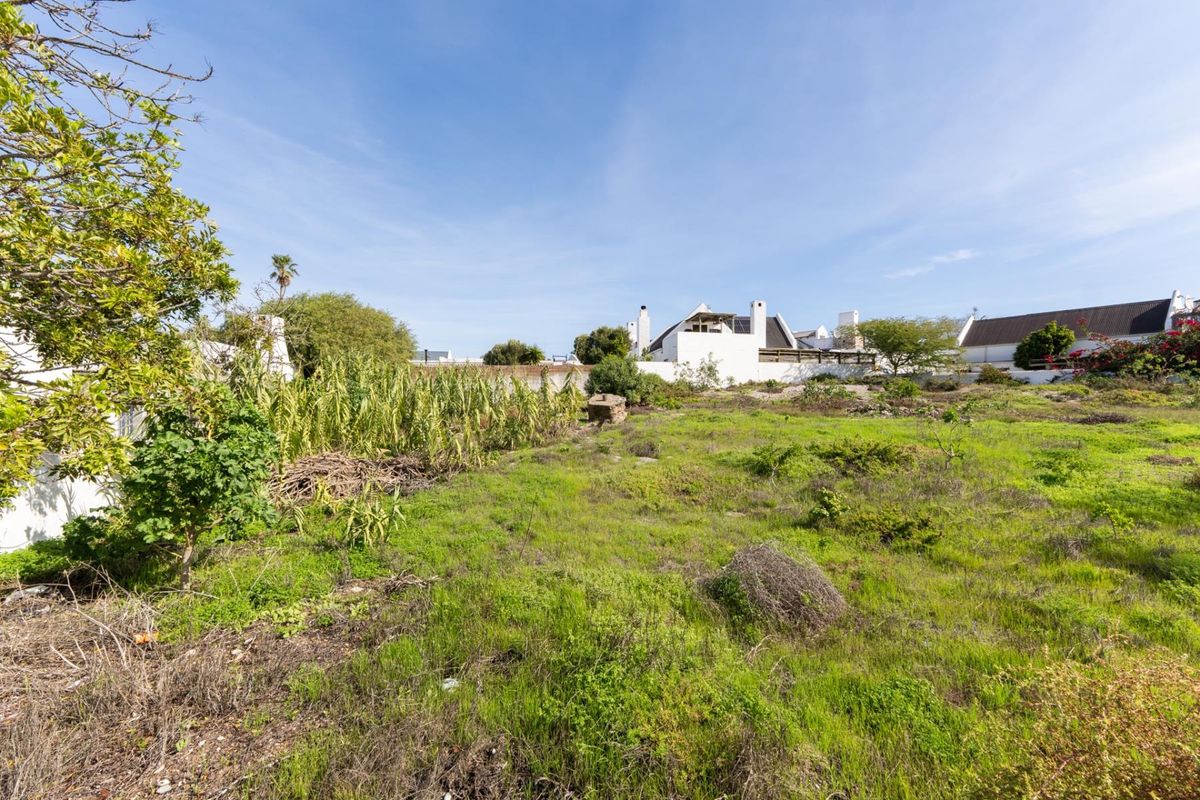A vacant residential plot featuring natural vegetation and boundary walls, offering a clear space for potential development.