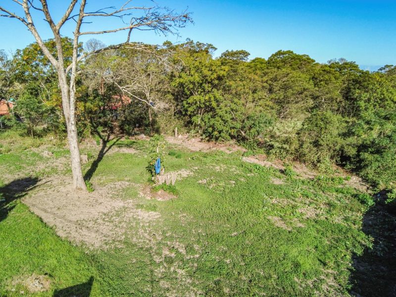 VACANT LAND IN DAWN - Photo 1