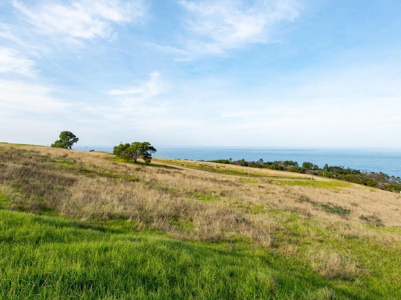 A scenic view of a sloping grassy landscape overlooking the ocean, showcasing the natural topography and coastal setting of the vacant land.