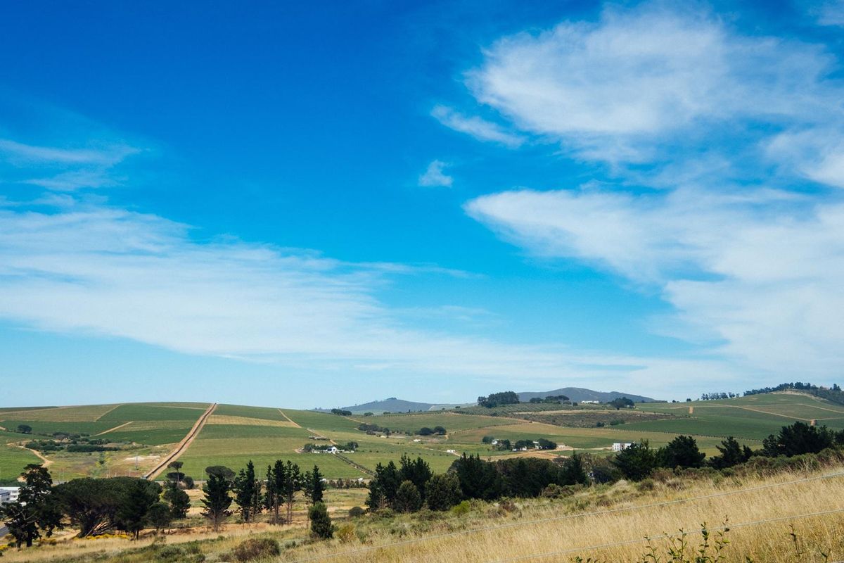 Vacant Land For Sale in Weltevreden Hills Estate, Welgevonden, Stellenbosch, Western Cape - Photo 5