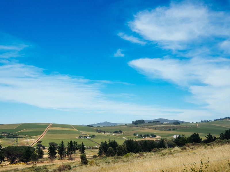 Vacant Land For Sale in Weltevreden Hills Estate, Welgevonden, Stellenbosch, Western Cape - Photo 5