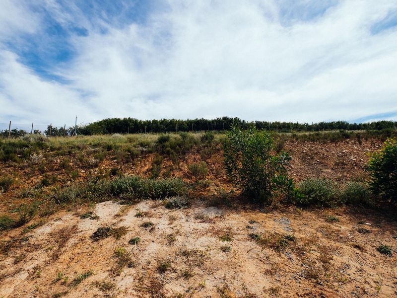 Vacant Land For Sale in Weltevreden Hills Estate, Welgevonden, Stellenbosch, Western Cape - Photo 8