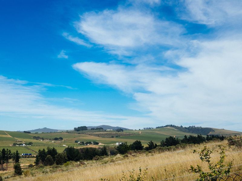 Vacant Land For Sale in Weltevreden Hills Estate, Welgevonden, Stellenbosch, Western Cape - Photo 7