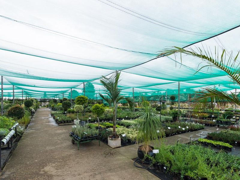 IDEALLY LOCATED 25,000m COMMERCIAL LAND ON MAIN ROAD KYALAMI - Photo 10