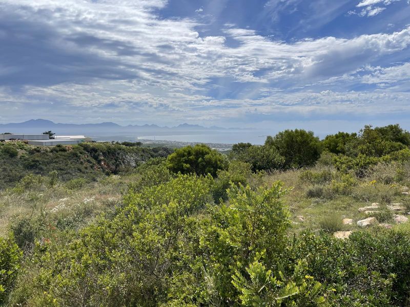 Your Paradise Awaits | Small Holding Unavailable in Aalwyndal, Mossel Bay - Photo 2