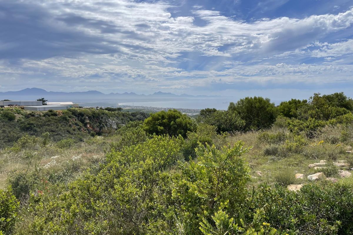 Your Paradise Awaits | Small Holding Unavailable in Aalwyndal, Mossel Bay - Photo 2