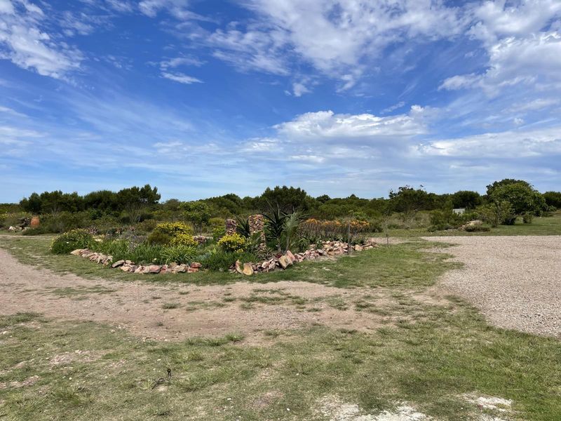 Your Paradise Awaits | Small Holding Unavailable in Aalwyndal, Mossel Bay - Photo 7