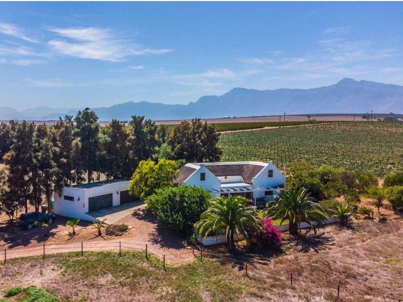 Aerial view of a farm property featuring a white farmhouse with a thatched roof, double garage, and surrounding vineyard landscape.
