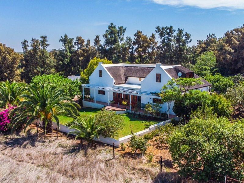 Aerial view of a charming farmhouse featuring a traditional thatched roof, white gabled facade, and a covered patio set within a lush garden.