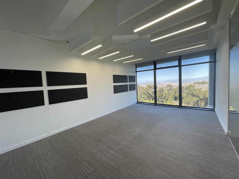 A bright, modern office space featuring floor-to-ceiling windows with panoramic views, suspended acoustic ceiling panels, and professional carpeted flooring.