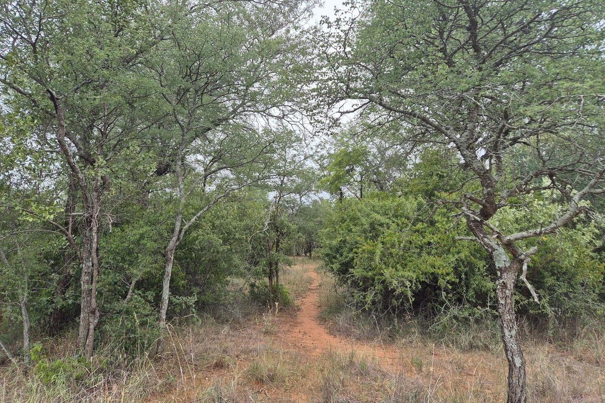 Vacant Land For Sale in Hoedspruit - Photo 5
