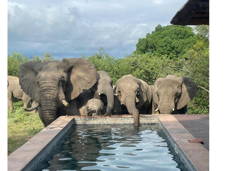 Vacant Land For Sale in Hoedspruit - Photo 3