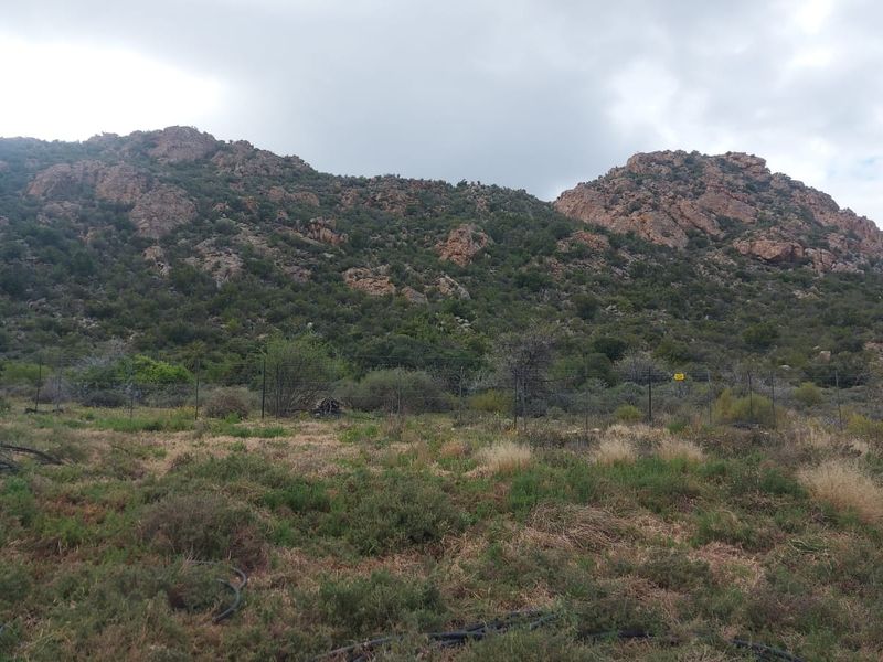 Farm For Sale in Ladismith Rural, Ladismith - Photo 9