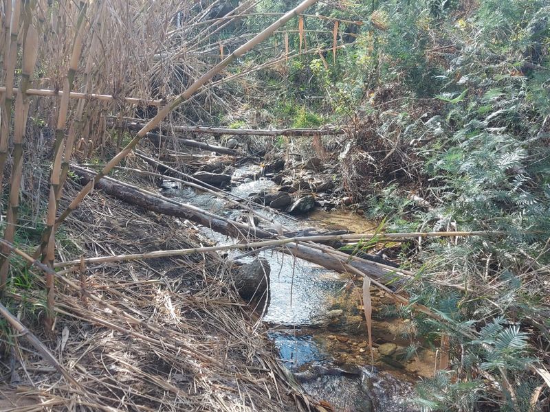 Farm For Sale in Ladismith Rural, Ladismith - Photo 10