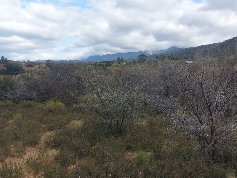 Farm For Sale in Ladismith Rural, Ladismith - Photo 8