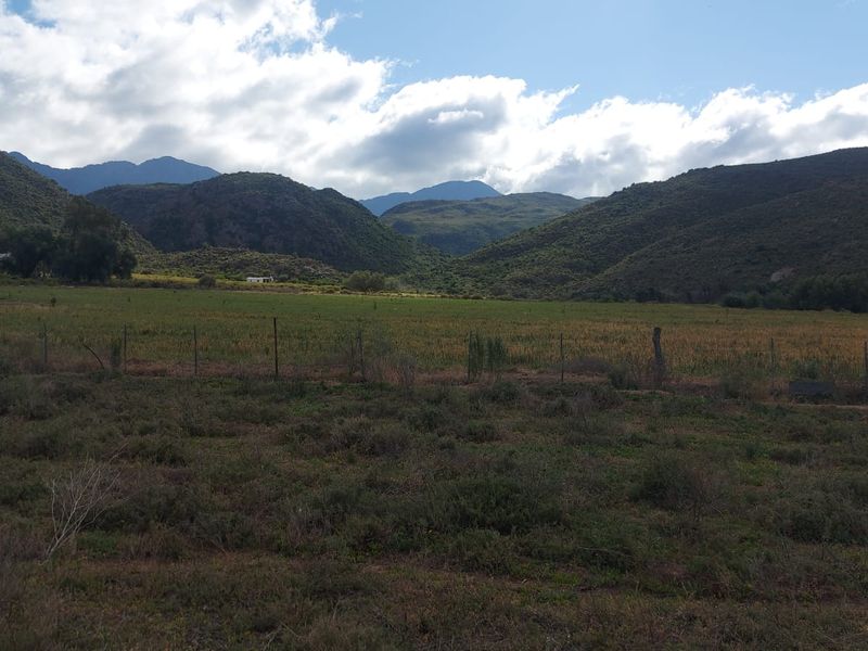 Farm For Sale in Ladismith Rural, Ladismith - Photo 6