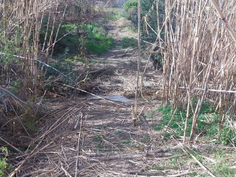 Farm For Sale in Ladismith Rural, Ladismith - Photo 2