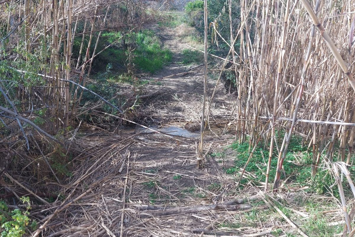 Farm For Sale in Ladismith Rural, Ladismith - Photo 2