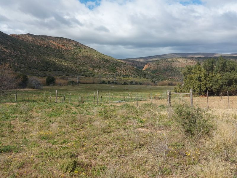 Farm For Sale in Ladismith Rural, Ladismith - Photo 4