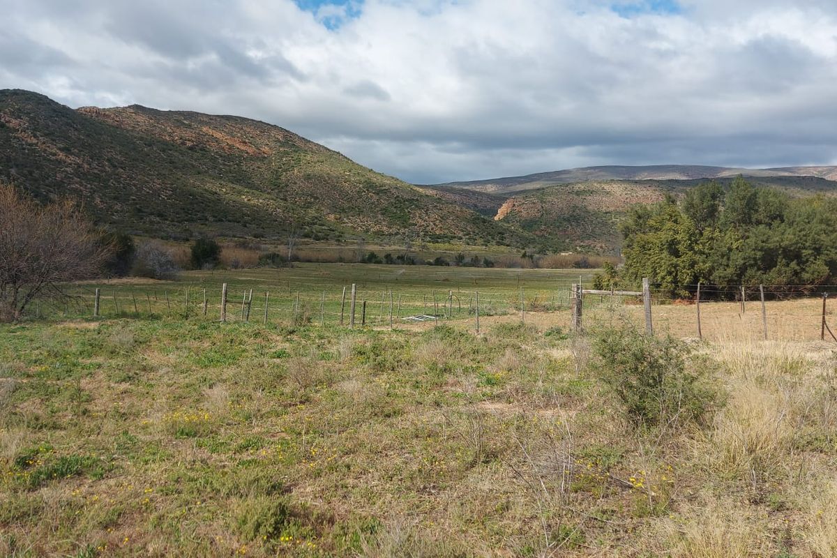 Farm For Sale in Ladismith Rural, Ladismith - Photo 4