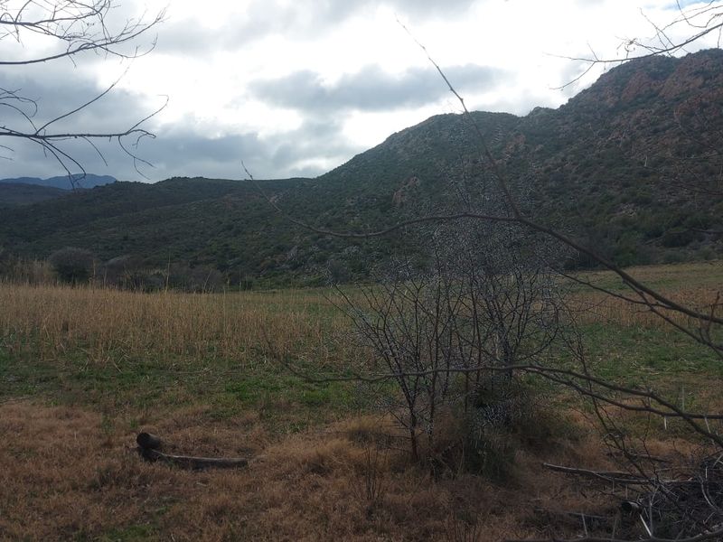 Farm For Sale in Ladismith Rural, Ladismith - Photo 5