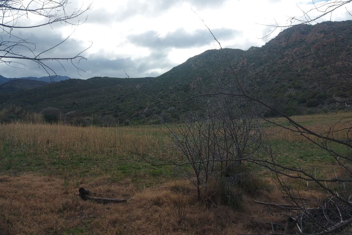 Farm For Sale in Ladismith Rural, Ladismith - Photo 5