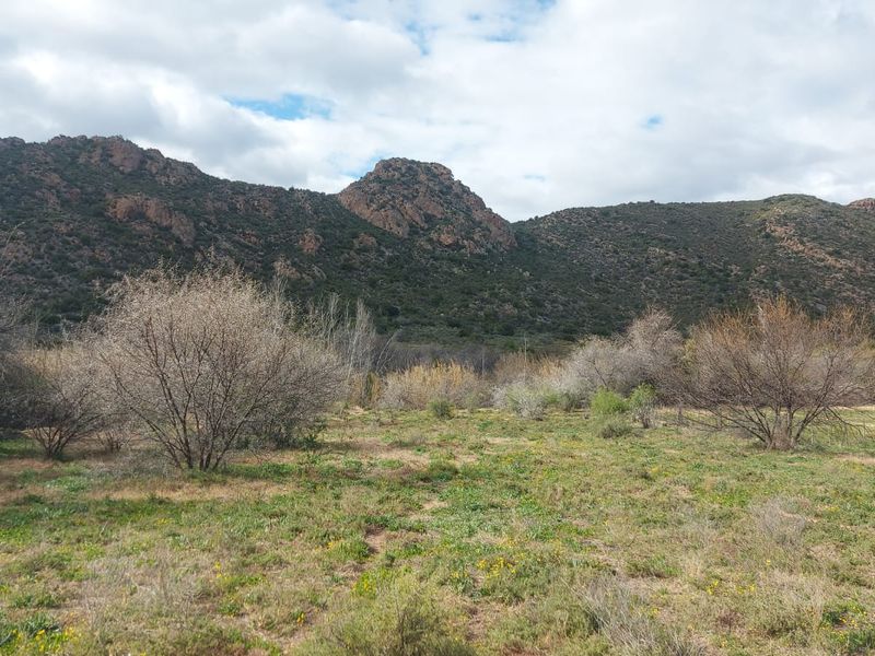 Farm For Sale in Ladismith Rural, Ladismith - Photo 3