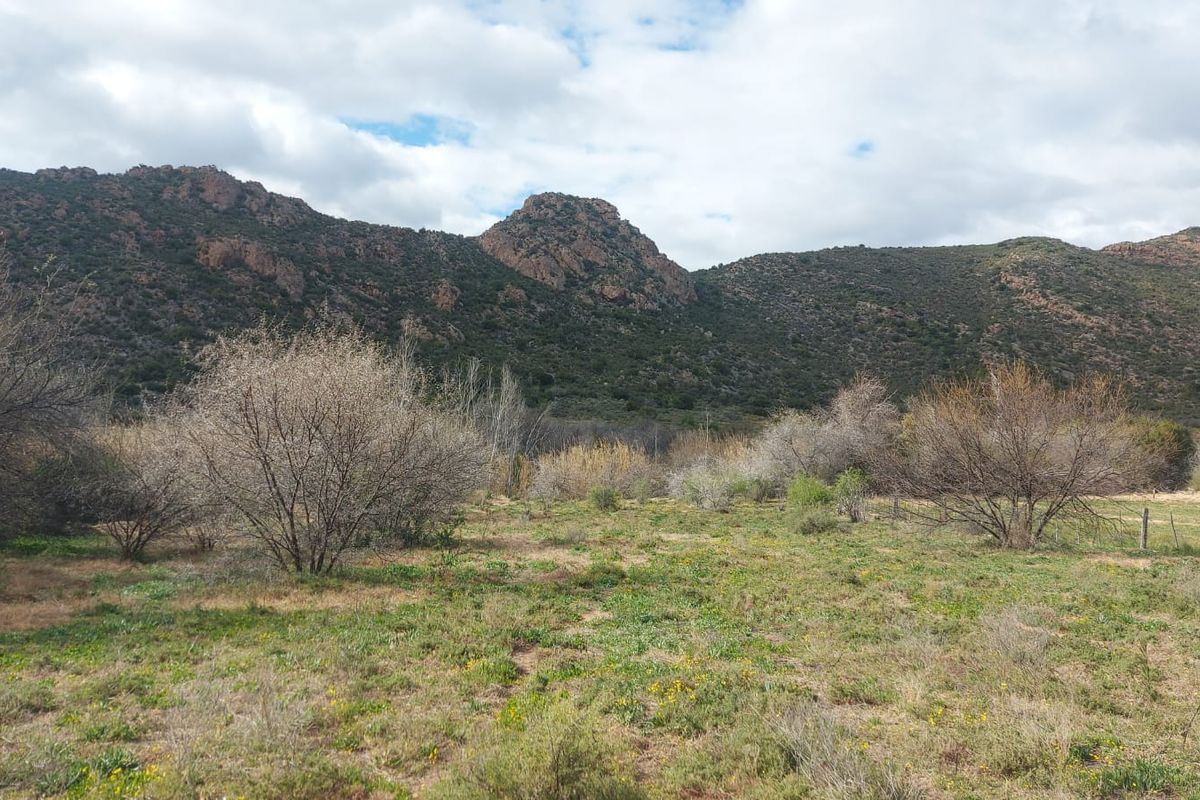 Farm For Sale in Ladismith Rural, Ladismith - Photo 3