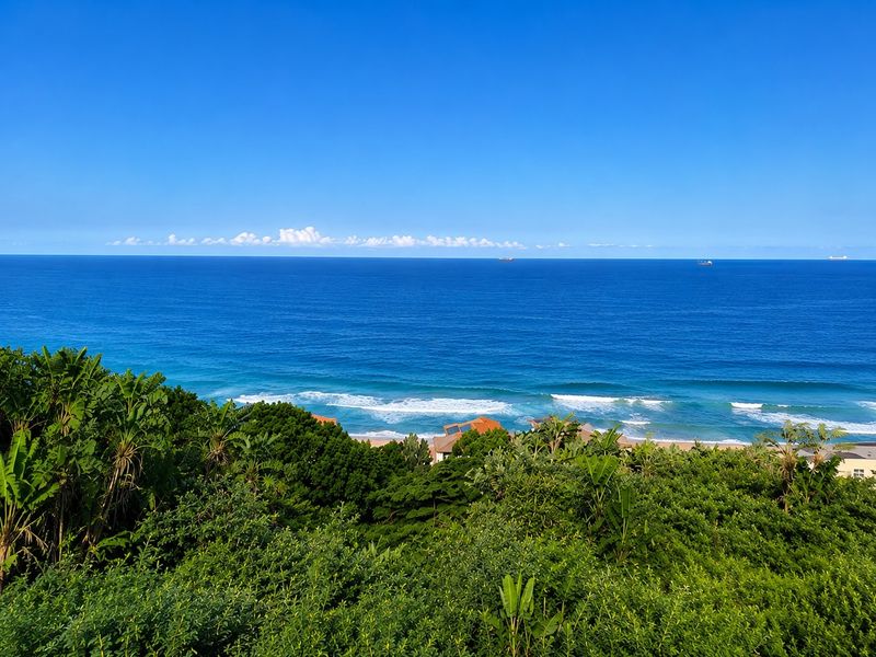 A scenic elevated view overlooking the ocean and coastline, featuring lush coastal vegetation in the foreground.
