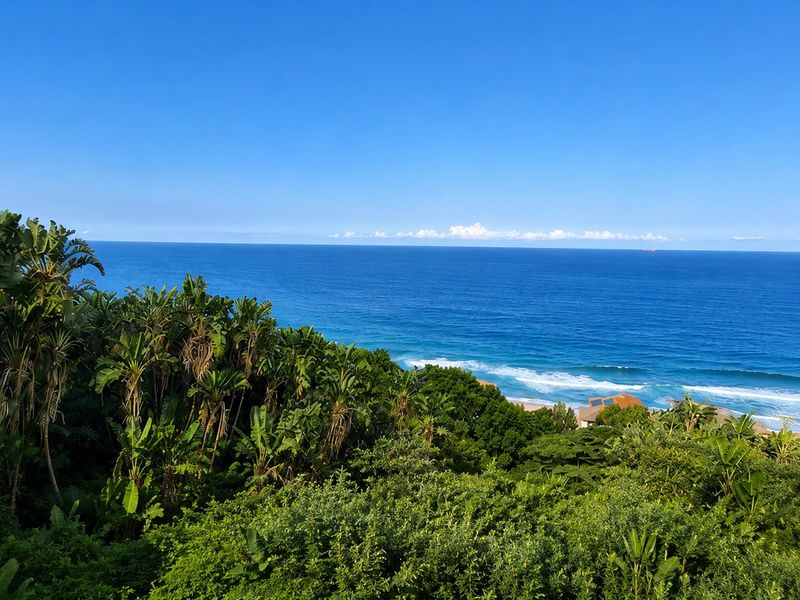A scenic elevated view overlooking the coastline, lush tropical vegetation, and the expansive blue ocean.