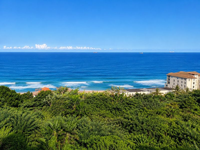 A scenic elevated view overlooking the ocean, coastline, and surrounding lush greenery.