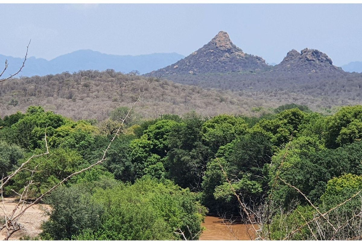 A scenic landscape view featuring lush green vegetation, a river, and prominent mountain peaks in the distance.
