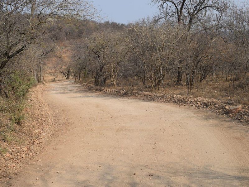 A view of an unpaved dirt access road winding through natural bushveld vegetation on the residential property.