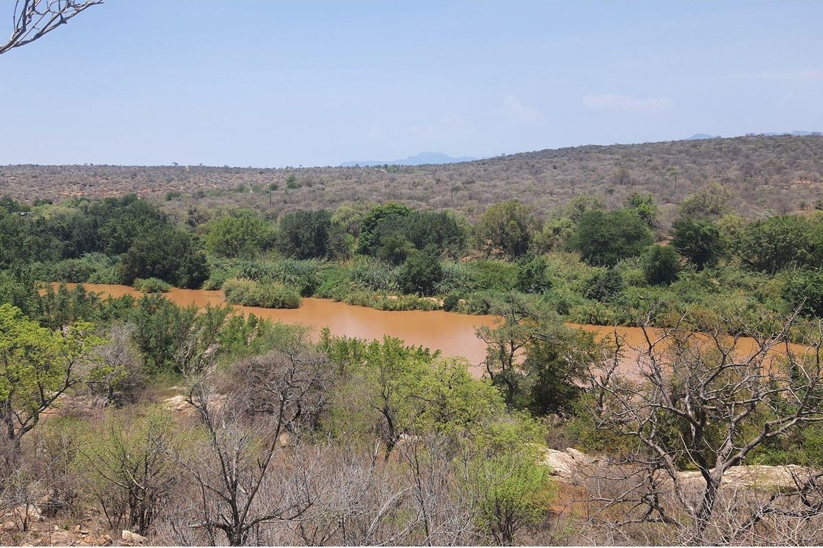 A scenic view of a natural river flowing through a landscape with native trees and shrubs.