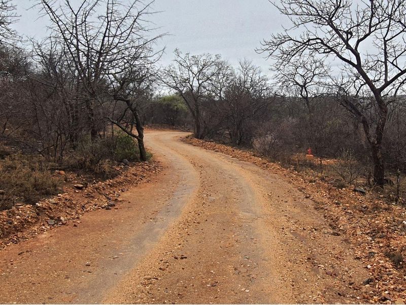 A view of an unpaved access road winding through a natural, undeveloped residential landscape with native trees and a visible fire hydrant.