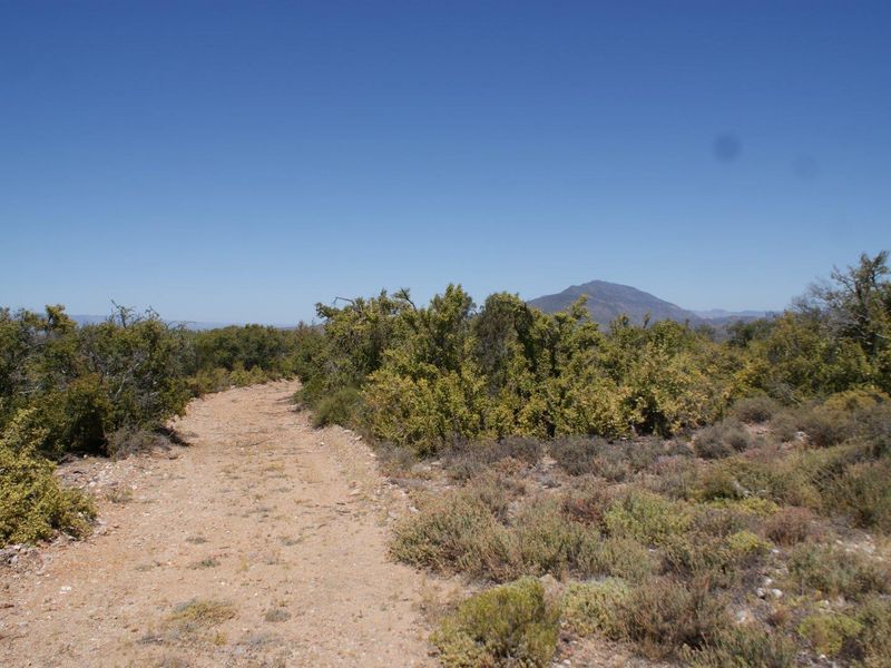 Farm For Sale in Ladismith Rural, Ladismith - Photo 5