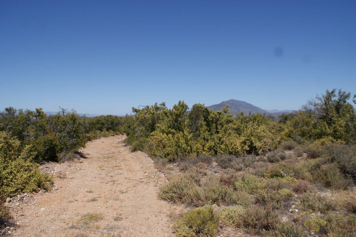 Farm For Sale in Ladismith Rural, Ladismith - Photo 5