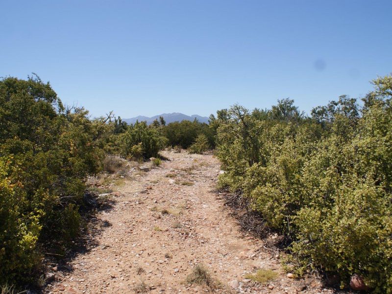 Farm For Sale in Ladismith Rural, Ladismith - Photo 2