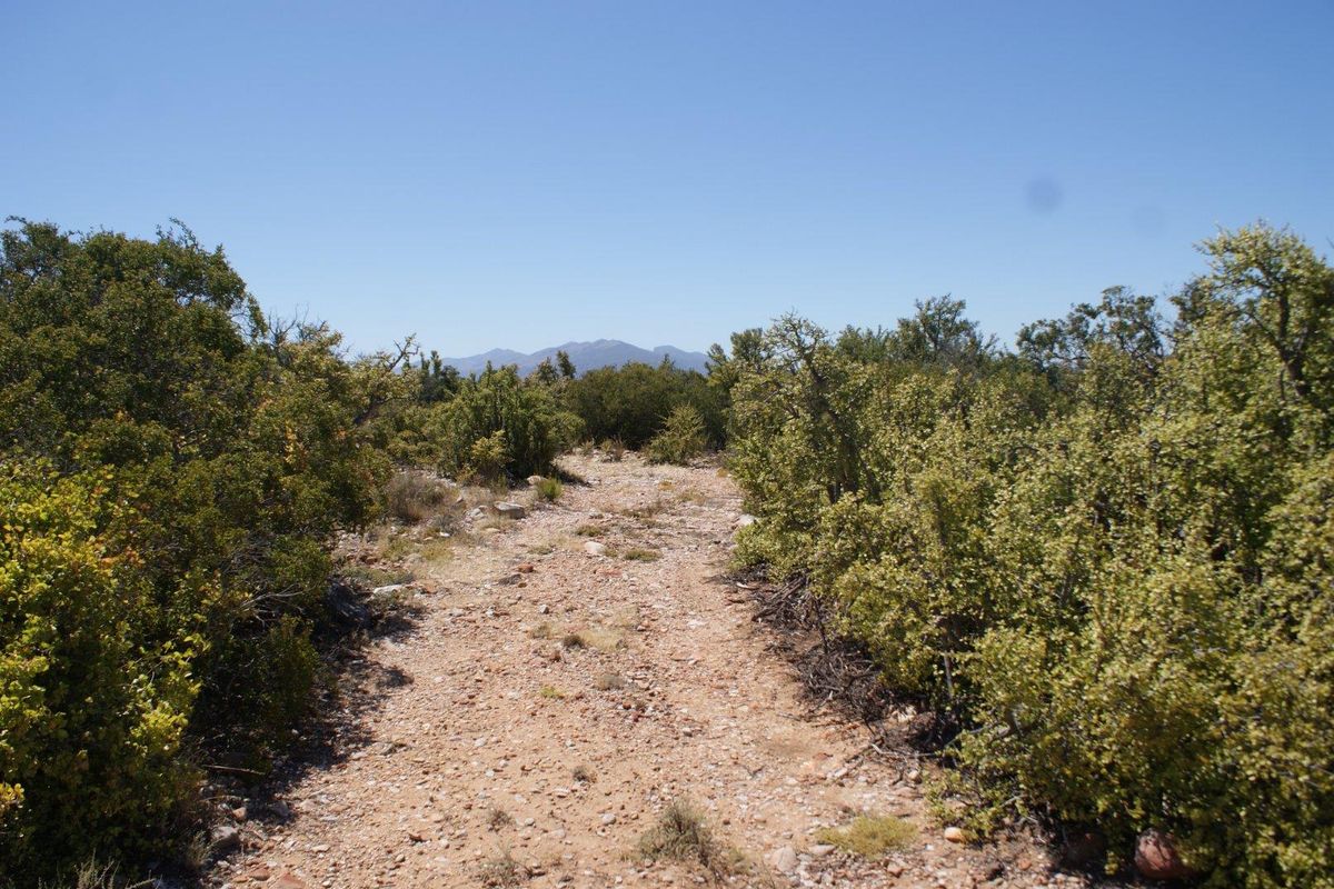 Farm For Sale in Ladismith Rural, Ladismith - Photo 2