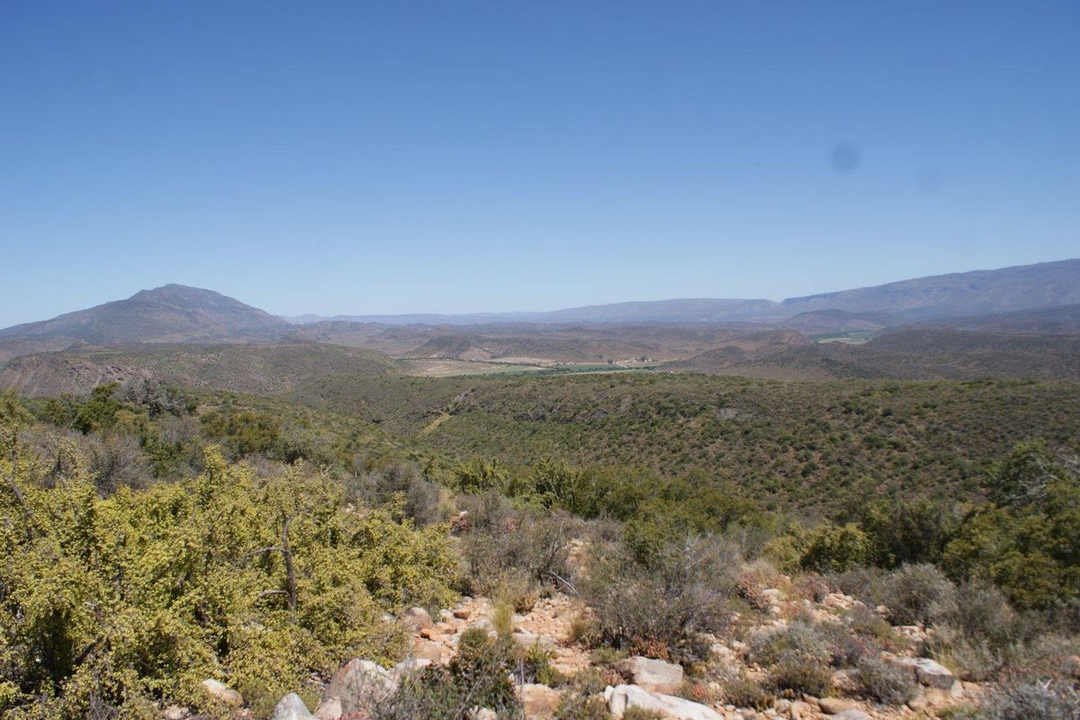Farm For Sale in Ladismith Rural, Ladismith - Photo 3