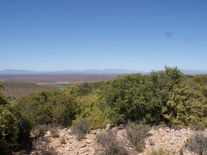Farm For Sale in Ladismith Rural, Ladismith - Photo 7