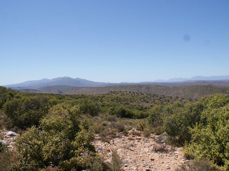 Farm For Sale in Ladismith Rural, Ladismith - Photo 6