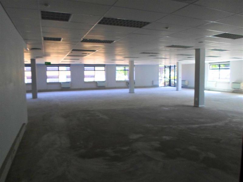 A large, vacant open-plan commercial office space featuring a suspended ceiling, recessed lighting, support columns, and expansive windows providing natural light.