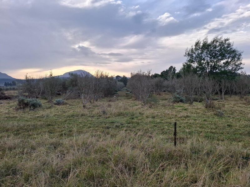 Farm For Sale in Riversdale Rural, Riversdale - Photo 10