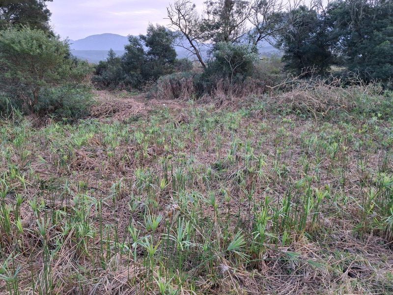Farm For Sale in Riversdale Rural, Riversdale - Photo 6