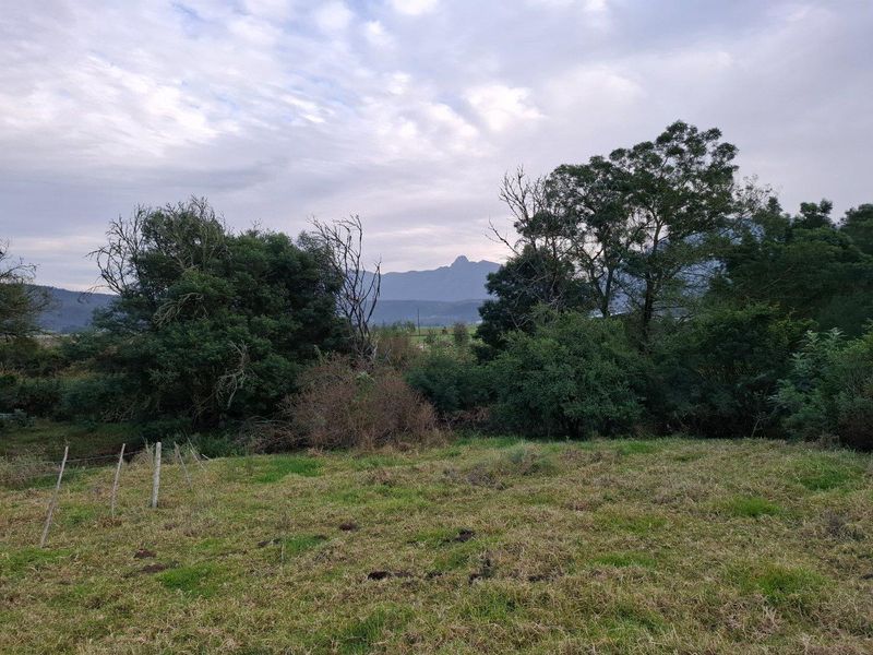 Farm For Sale in Riversdale Rural, Riversdale - Photo 5
