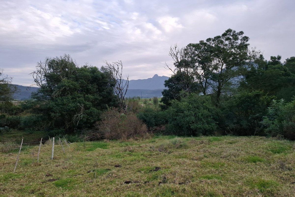 Farm For Sale in Riversdale Rural, Riversdale - Photo 5