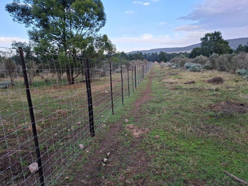 Farm For Sale in Riversdale Rural, Riversdale - Photo 8