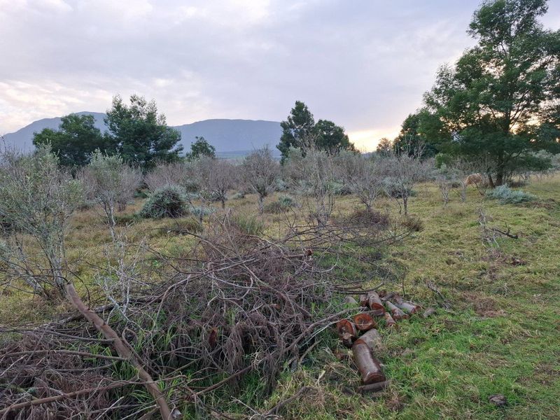 Farm For Sale in Riversdale Rural, Riversdale - Photo 9